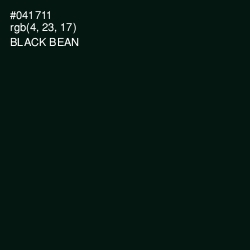 #041711 - Black Bean Color Image